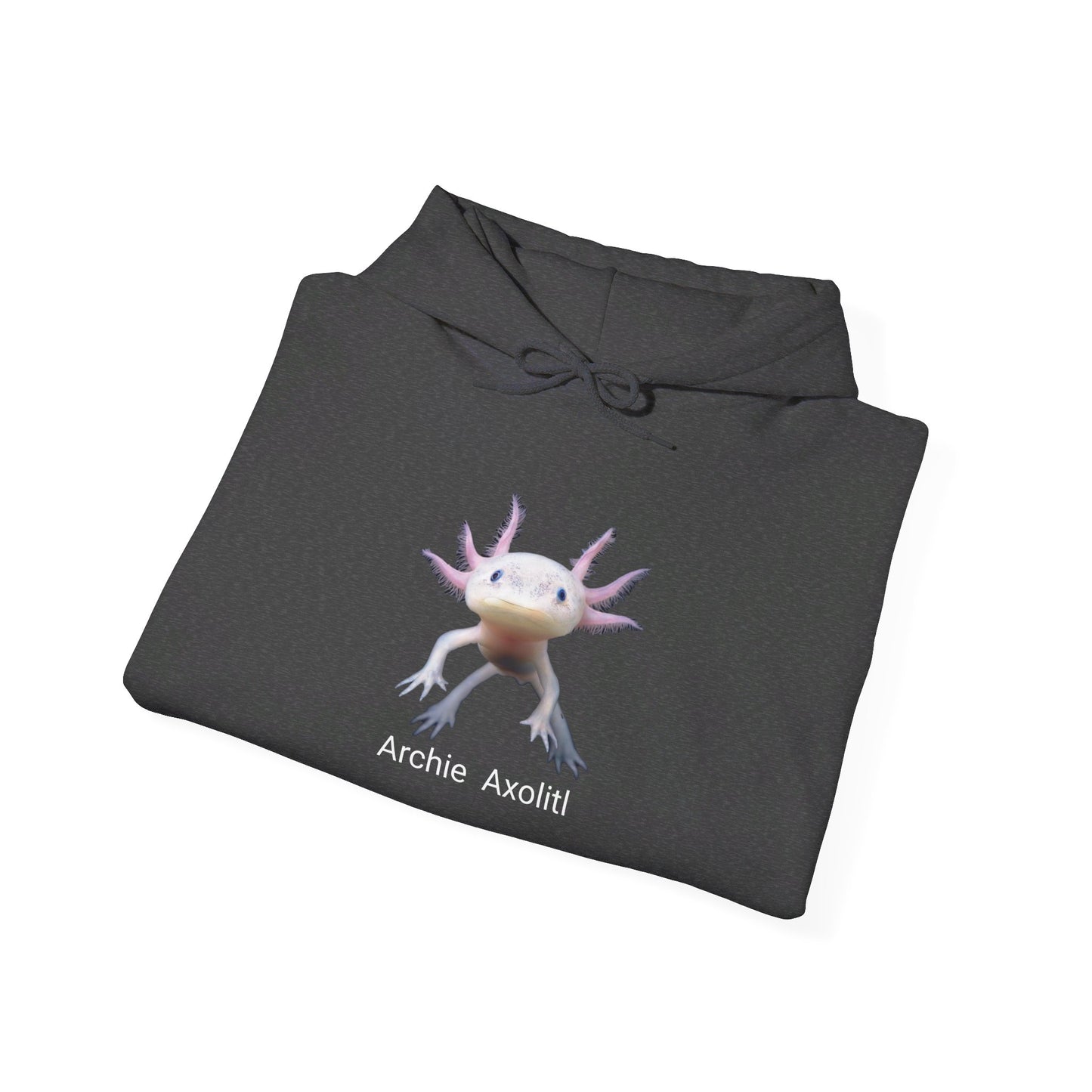 Hoodie, Archie the Axolotl Unisex Heavy Blend™ Hooded Sweatshirt