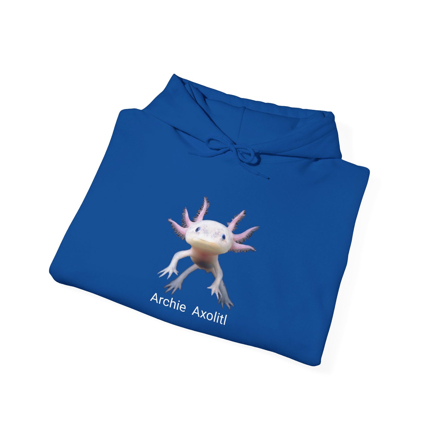 Hoodie, Archie the Axolotl Unisex Heavy Blend™ Hooded Sweatshirt